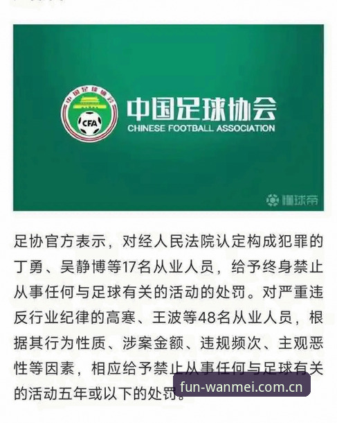 中国足协第三批禁足名单详解：17人终身禁赛，48人受罚